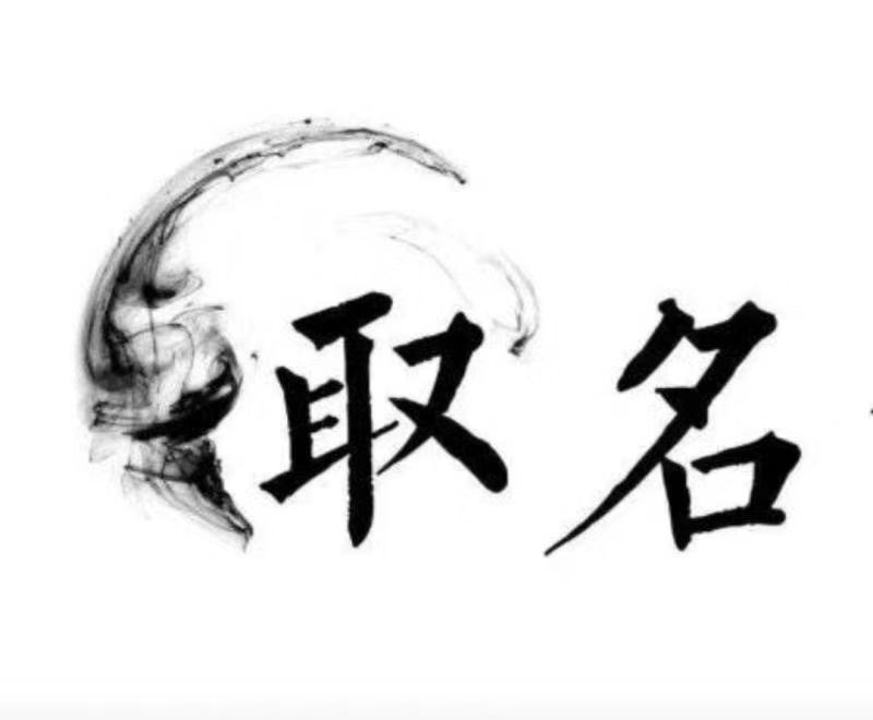  北林宝宝取名 大师一对一人工起名
